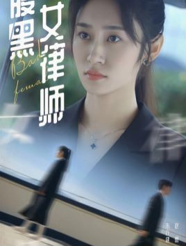 腹黑女律师 第21-40集